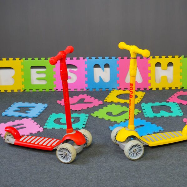 Pogo Scooter